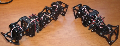 blog-robots-modulares-hispabot-2010-1
