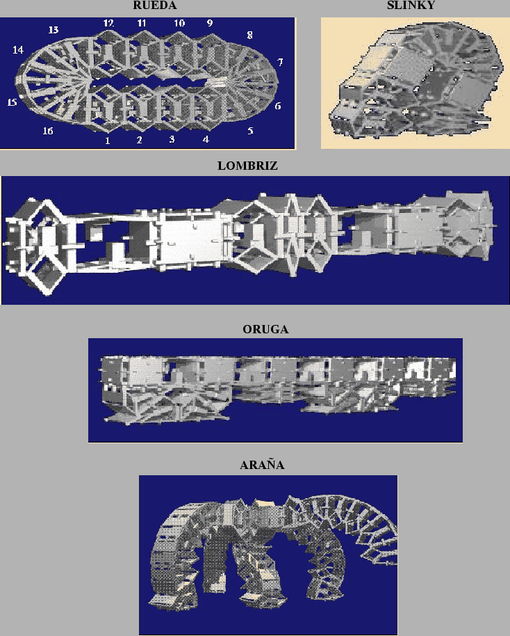 \includegraphics[]{ps/polypod-loc2.eps}