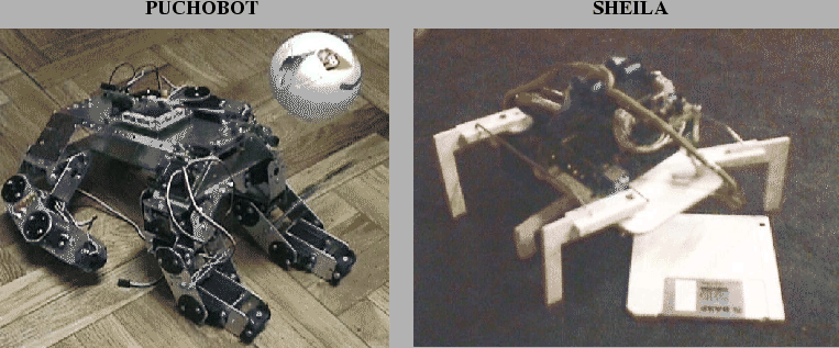 \includegraphics[]{ps/pucho-sheila.eps}