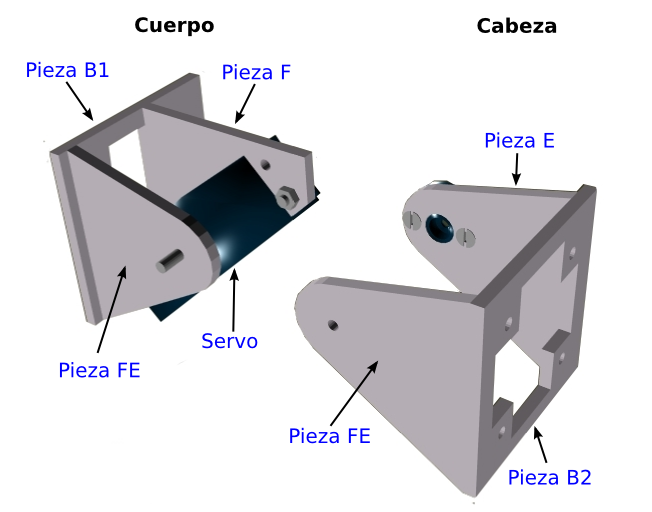 Y1-1.1-cuerpo-cabeza-diagrama.png
