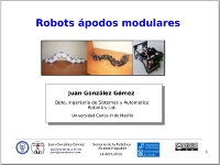 2010-04-14:Hispabot:Robots ápodos modulares