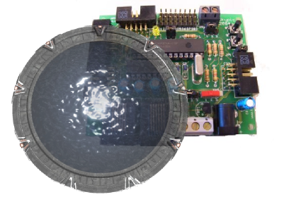 Logo de la libIris‎