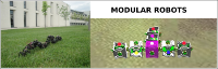 2010-07-05:Robotics Lab: Locomoción de Robots ápodos modulares