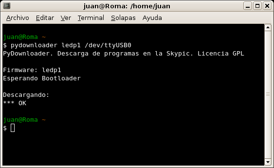 Pantallazo del pydownloader-1.0 en Linux