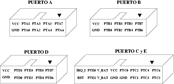Puertos de la Tarjeta GpBot