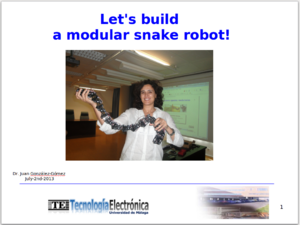 2013-07-02-snake-robots.png