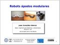 2010-04-14-robots-apodos-modulares-hispabot-peq.jpg