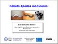 2010-04-14-robots-apodos-modulares-hispabot.jpg